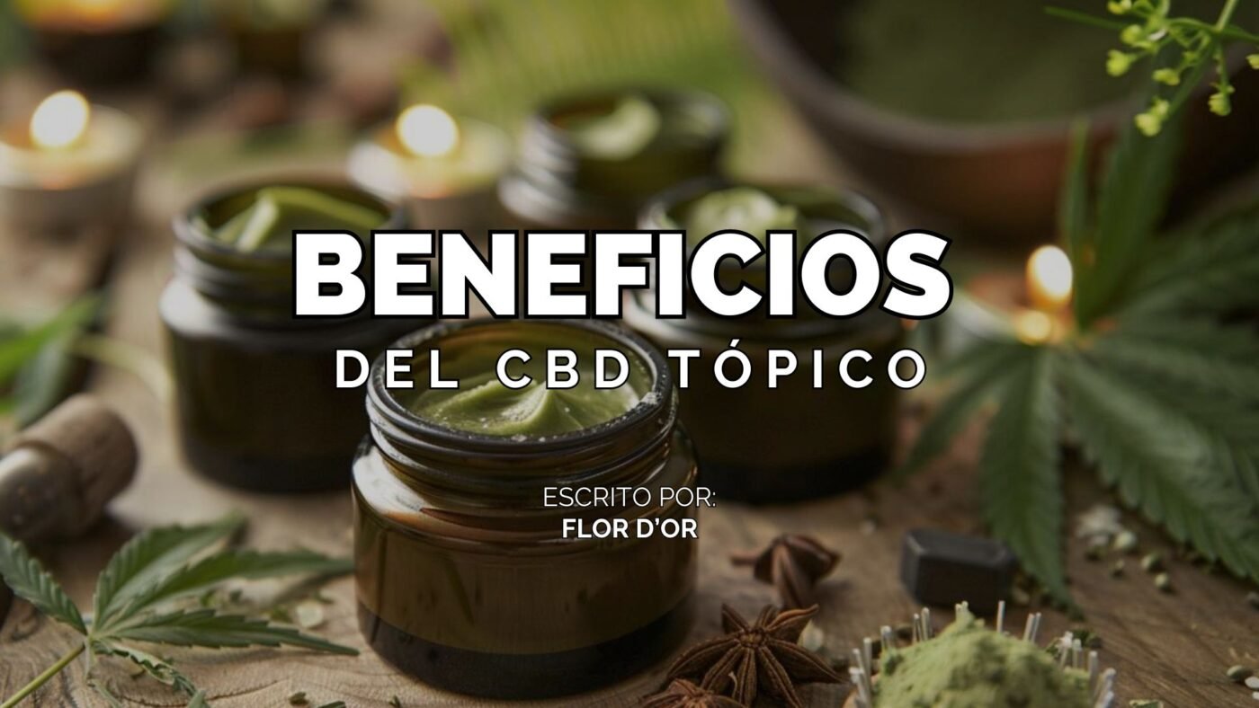 10 Beneficios del CBD Tópico Salud y Bienestar