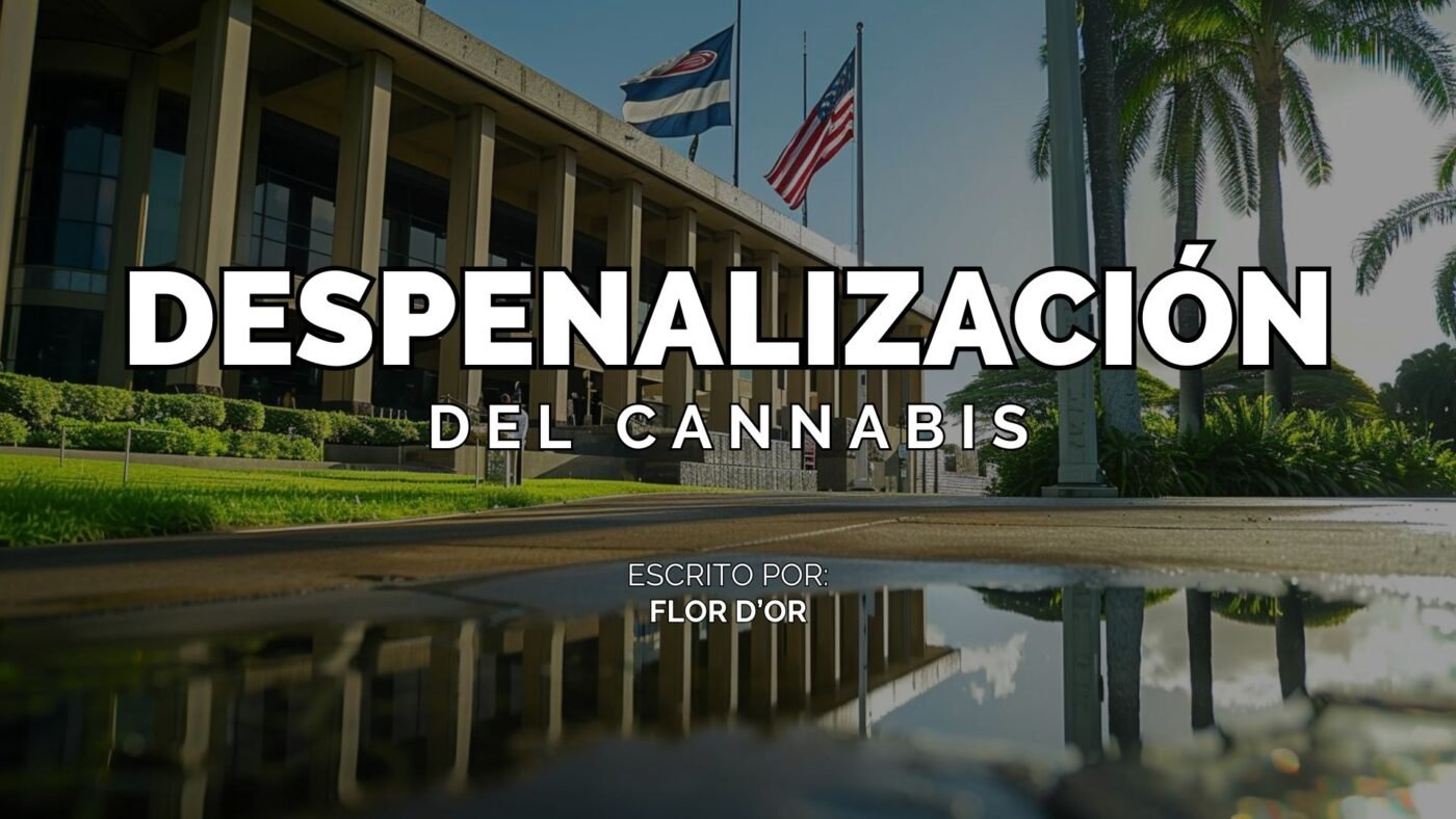 Avances en Despenalización del Cannabis El Caso de Hawaii