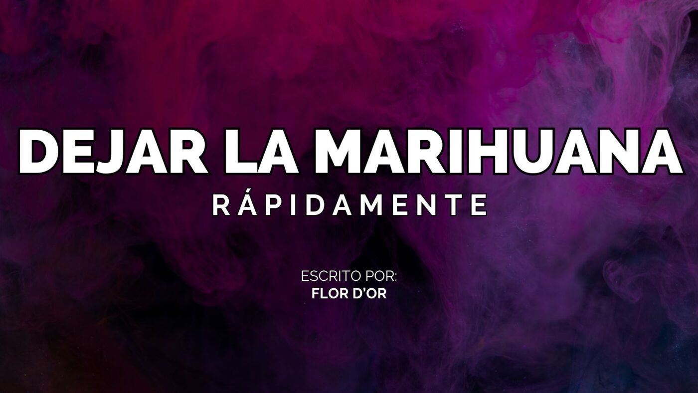 Cómo Dejar la Marihuana Rápido y Fácilmente Guía Efectiva 2024