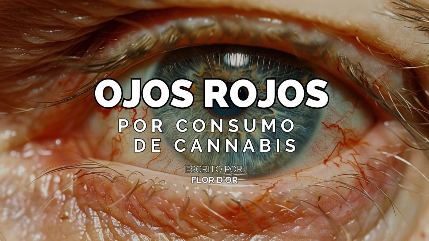Los Ojos Rojos por el Consumo de Cannabis